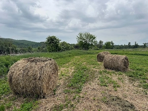 vând baloți 