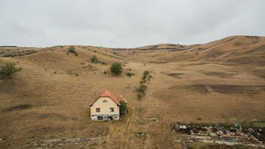 Stejeris 4   Ha  din asta 5000 Quadratmeter intravilan - imagine 2