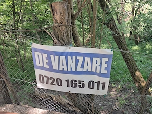 Teren  de vinzare  excelenta investitie  la CORNU   DE SUS  LA 100 DE METRI DE  DN1  foarte ieftin   - imagine 9