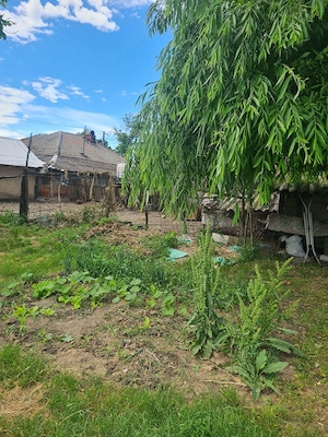 Casa de vanzare în Parepa-Rusani - imagine 3