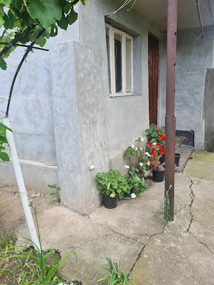 Casa de vanzare în Parepa-Rusani - imagine 5