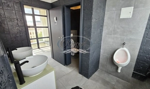 Spatiu office premium in Piata Mihai Viteazu - imagine 13