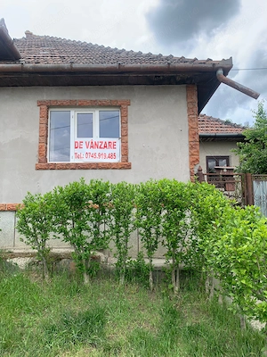 Casa de vanzare Ludus, Mures - imagine 5