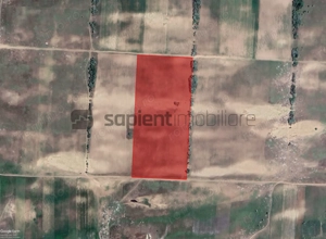 Sapient | Teren agricol _ loc. Desa, jud. Dolj - imagine 2
