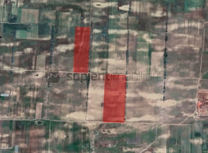 Sapient | Teren agricol _ loc. Desa, jud. Dolj