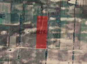 Sapient | Teren agricol _ loc. Desa, jud. Dolj - imagine 3