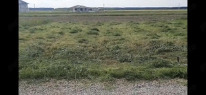 Vand teren in Cihei
