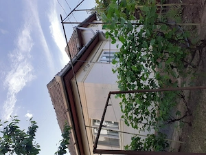 Casa de vanzare în Comuna Sanger Jud.Mures - imagine 6