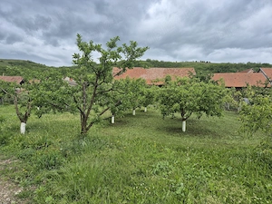 Casa de vanzare - Bucerdea Vinoasa - imagine 2