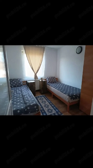 Hote, Pensiune, cazare , 18 camere  Batiz, Hunedoara - imagine 8