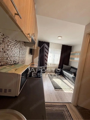 Garsoniera, de vanzare, zona Buziasului, Timisoara - imagine 4