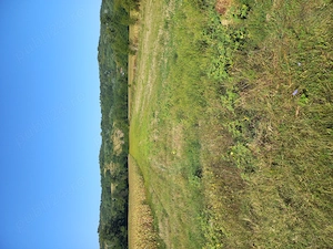 Vând 8 hectare pășune!