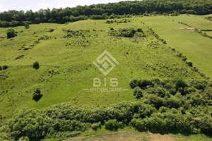 Teren Valea - Stanelor 21.600 mp - imagine 10