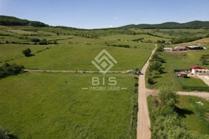 Teren Valea - Stanelor 21.600 mp - imagine 7