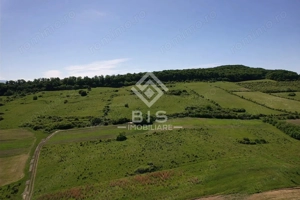 Teren Valea - Stanelor 21.600 mp - imagine 4