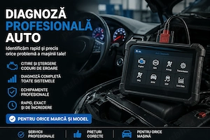 DIagnoza profesionala