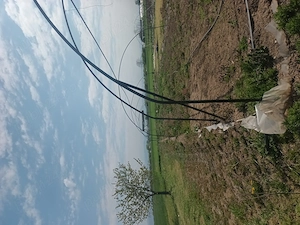 Vind  Arce pentru Solarii stocatura 