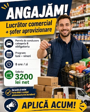 Angajam lucrator comercial sofer B