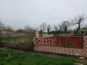 Teren 825 mp Voiteg, front stradal 14 m – ideal casă individuală - imagine 4