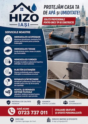 Hizo Iași   Rezolvăm rapid infiltrații