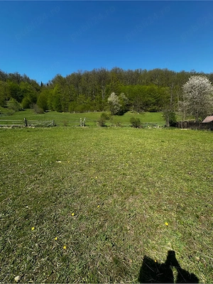 1000m2 Teren intravilan Cuejdiu Garcina 