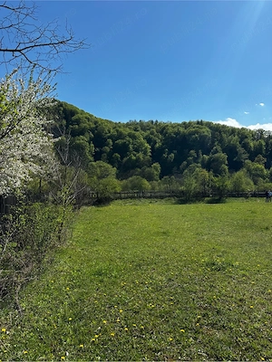 1000m2 Teren intravilan Cuejdiu Garcina,Neamț  - imagine 5