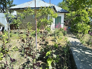 Casa de vânzare și teren, 300 mp, Călărași, strada Poeniței  - imagine 4