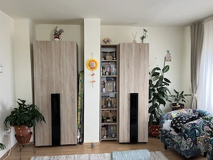 Apartament 2 camere+terasa central - Gheorghe Doja - suprafata totala 71.1 mp - imagine 10