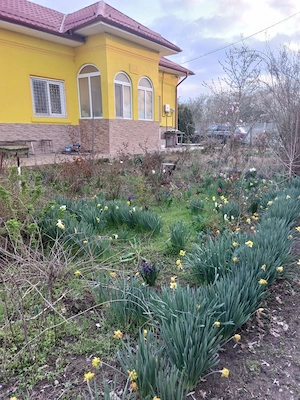 Casa de vanzare com Celaru jud Dolj - imagine 2