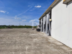 Casa cu 4 camere cu teren de 14,340 mp + platforma de beton cu hala - imagine 9