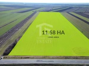 Teren folosinta conditii speciale | Oportunitate investitie | Nadlac - imagine 2