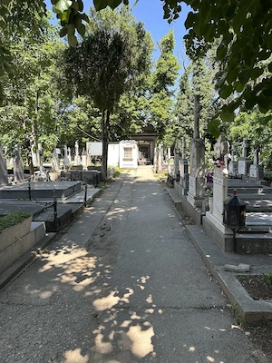 3 locuri de veci in acelasi amplasament, cimitirul Bellu ortodox - imagine 5