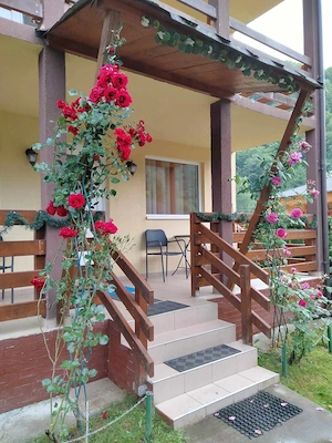 Casa tip vila de vanzare - imagine 8