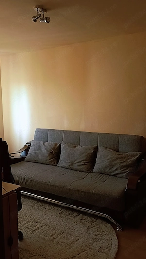De vanzare apartament 2 camere Micalaca  - imagine 7
