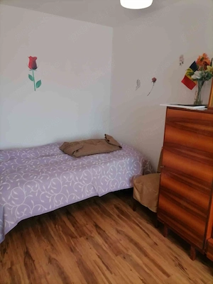 Oradea Nufărul apartament 2 camere 45 m2  - imagine 3