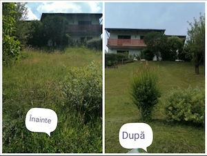 Servicii întreținere gazon, spatii verzi și grădini 