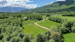 Teren intravilan 500 mp sau 1000 mp în Zarnesti-Tohanita incepand de la 17500 euro