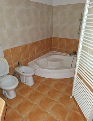 Apartament 5 camere cladire istorica zona Modern Dorobantilor mal Bega - imagine 5