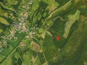 Teren 20 ha vestul Romaniei – ideal plantație aluni / livadă - imagine 5