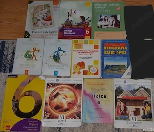 Manuale Culegeri clasa a VI-a