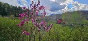 Teren 7160 mp/PUZ/cabana-ideal pentru proiect turistic/glamping - imagine 19
