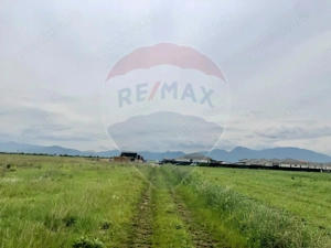 Comision 0% | 4 Parcele 538mp | Harman, Strada MIHAIL SADOVEANU - imagine 7