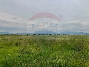 Comision 0% | 4 Parcele 538mp | Harman, Strada MIHAIL SADOVEANU - imagine 8