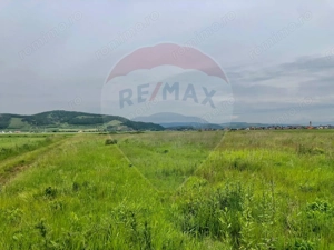 Comision 0% | 4 Parcele 538mp | Harman, Strada MIHAIL SADOVEANU