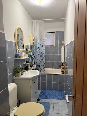 vand ap.2 camere,Resita,Govandari 
