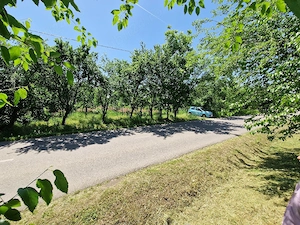 Oferta vand teren la 45 km de Bucuresti - imagine 6
