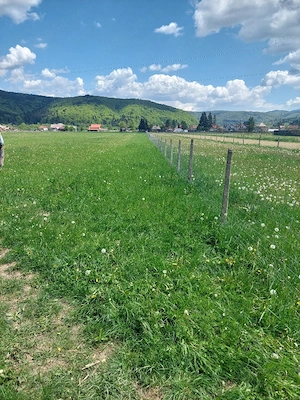 teren vanzare