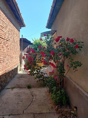 Casa de vanzare, la tara in Zagujeni, com C.tin Daicoviciu , jud Caras Severin - imagine 9