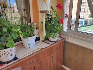 Apartament trei camere, zona Ostroveni - imagine 14