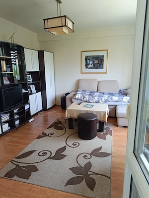Apartament 2 camere et 1 zona H.Diana - imagine 10